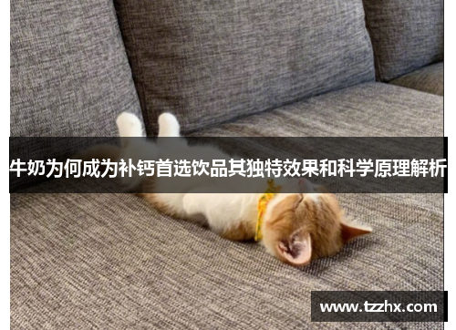 牛奶为何成为补钙首选饮品其独特效果和科学原理解析