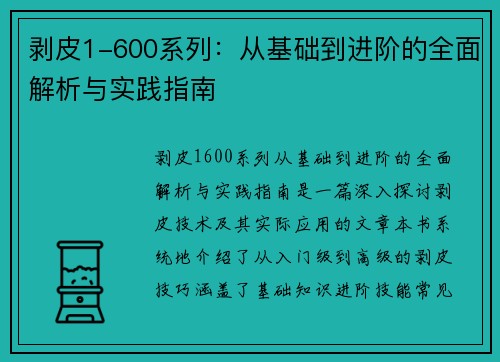 剥皮1-600系列:从基础到进阶的全面解析与实践指南 剥皮1-600系列:从基础到进阶的全面解析与实践指南